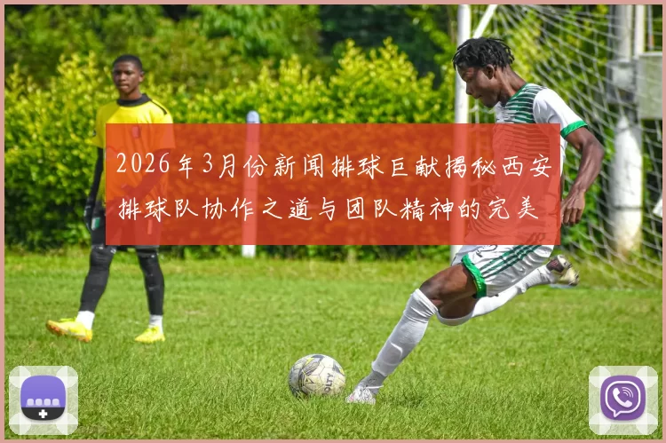 2026年3月份新闻排球巨献揭秘西安排球队协作之道与团队精神的完美融合